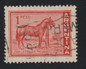 Argentina 689 horse