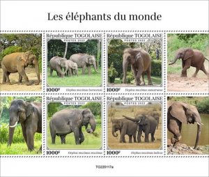 Togo - 2022 Elephants, Borneo, Sumatran, Indian - 4 Stamp Sheet - TG220117a