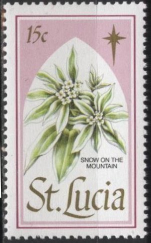 Saint Lucia 927 (mnh) 15c Christmas flowers: snow on the mountain (1988)