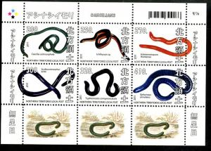 NORTHERN TERRITORIES SHEET CAECILIANS AMPHIBIANS