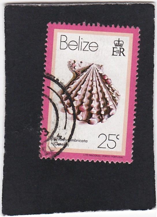 Belize #479 used 