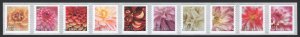 SC#5982-5991 (Forever) Dahlias Coil PS10 (2025) SA