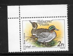 Hungary  #3136 MNH Crecca Ducks Single