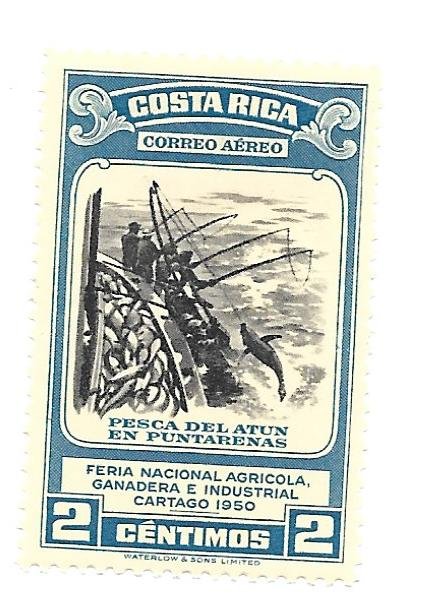 Costa Rica 1950 - M - Scott #C198 *