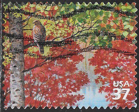 US 3899b Used - ‭Northeast Deciduous Forest - Red-Shouldered Hawk