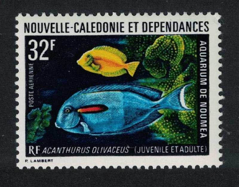 New Caledonia Orange-spotted Surgeonfish adult and young 32f 1973 MNH SG#522