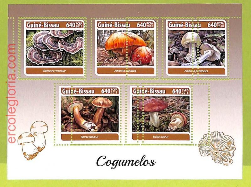 B0446 - GUINE-BISSAU - MISPERF ERROR Stamp Sheet - 2018 - Plants, Mushrooms-