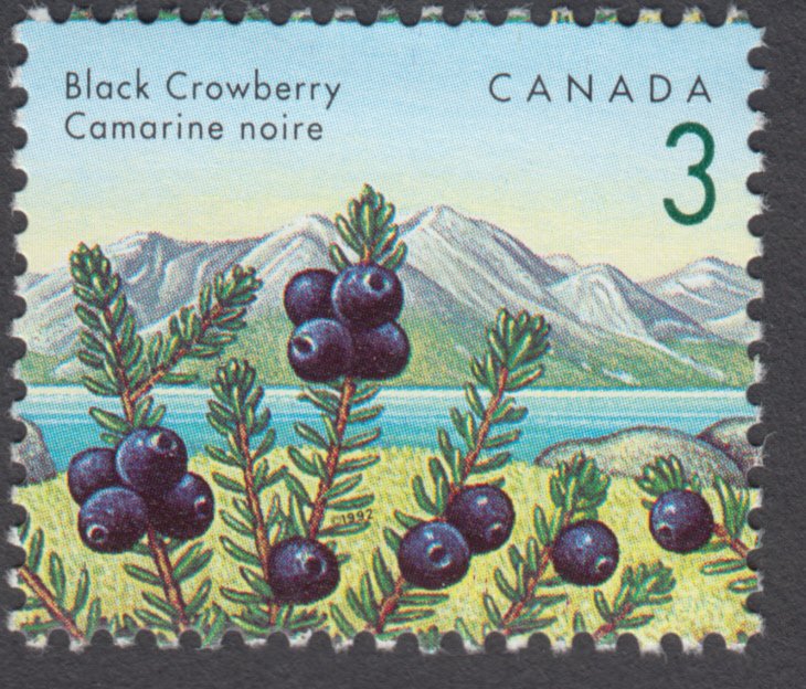 Canada - #1351 Edible Berries - Black Crowberry - MNH