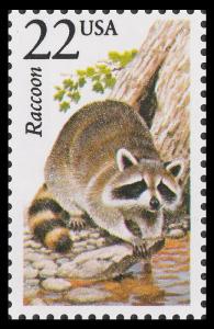 US 2331 North American Wildlife Raccoon 22c single MNH 1987