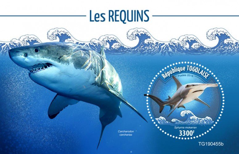 Togo Stamps 2019. - Sharks (Sphyrna mokarran). Blok. Imperf.