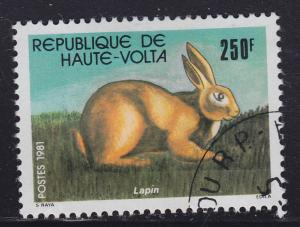 Burkina Faso 591 Rabbit 1981