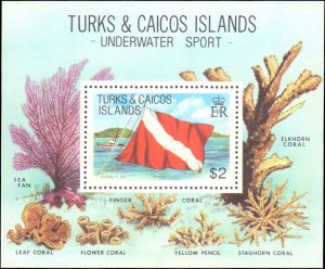 Turks & Caicos Islands #495, Complete Set, Souvenir Sheet Only, 1981, Flags, ...