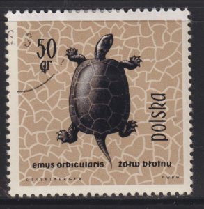 Poland 1136 European Pond Turtle 1963