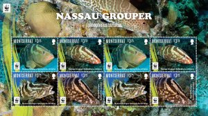 Montserrat - 2016 WWF Nassau Grouper Fishes - Sheet of 8 Stamps - MNH