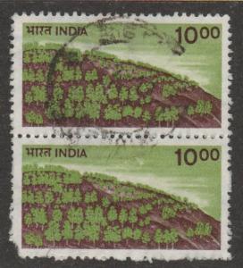 900 trees on a hill