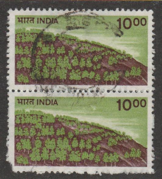 900 trees on a hill