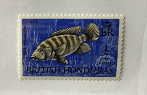 British Honduras 1969  Scott 234 MH - 1/2c, Fish