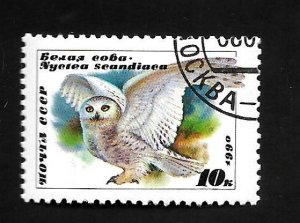 Russia - Soviet Union 1990 - CTO - Scott #5871