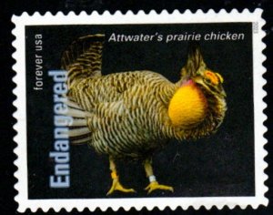 SC# 5799p - (66c) - Endangered Prairie Chicken - 16 of 20 - Used Off Paper