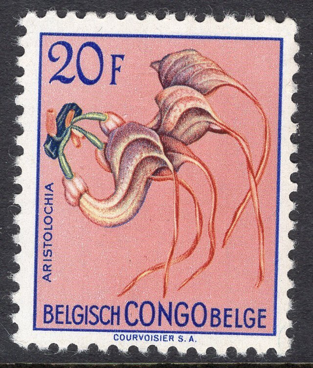 BELGIAN CONGO SCOTT 282