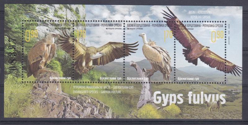 Bosnia Serbia 2016 Griffon vulture Birds of prey Sheep Fauna Animals MNH