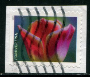 5566 US (55c) Garden Beauty - Tulip SA, used on paper