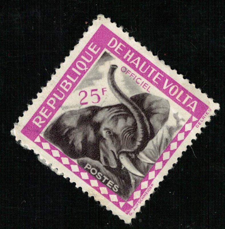 Animal,  Elephant, 25F (T-5370)