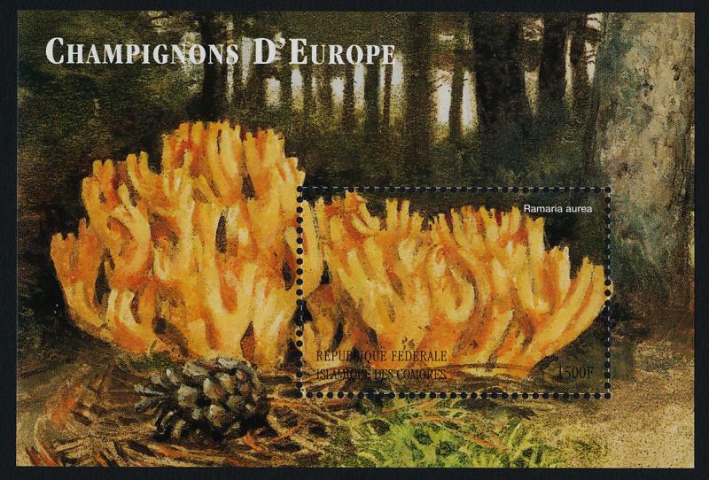 Comoro Islands 922 MNH Mushrooms