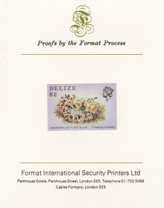 BELIZE 1984 MARINE LIFE imperf on FORMAT INT PROOF CARD