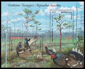 2014 Belarus 1017-1018/B114 Biotopes of Belarus. Bogs  8,00 €