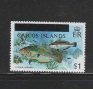 TURKS & CAICOS ISLANDS-CAICOS #6 1981 $1 CLOWN WRASSE FISH MINT VF NH O.G