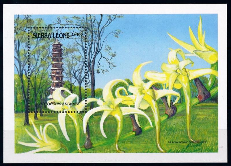 [67122] Sierra Leone 1989 Flora Flowers Blumen Orchids Souvenir Sheet MNH