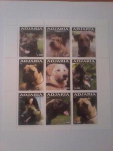 ADJARIA SHEET DOGS