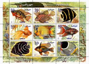Somalia 1999 Sea Fishes Marine Life 9v Mint Full Sheet. (L-147)