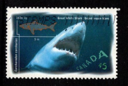 Canada - #1641 Great White Shark - Used
