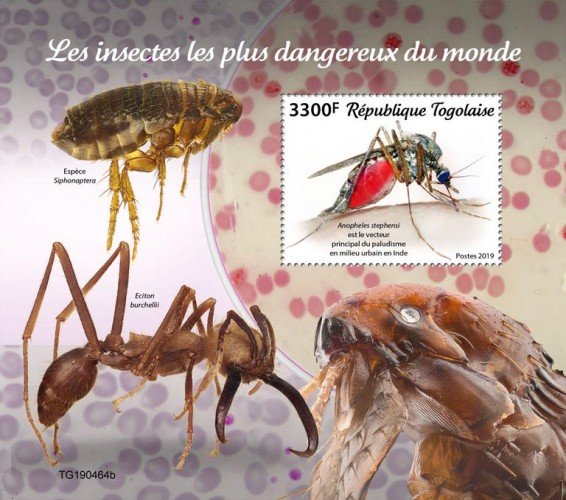 Togo Stamps 2019.- The most dangerous insects in the world. Blok.Imperf.