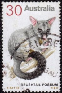 Australia 568 - Used - 30c Brushtail Possum (1974)