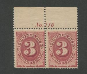 1891 US Postage Due Stamp #J24 Mint Never Hinged Pair Top Margin Plate No. 316