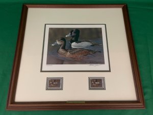 2007 RW74 Federal Duck Stamp Print - Ringed-Neck - by Richard Clifton