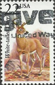 # 2317 USED WHITE-TAILED DEER