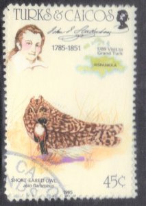 TURKS & CAICOS IS. SC # 652 **USED** 45c 1985  SHORT EARED OWL      SEE SCAN