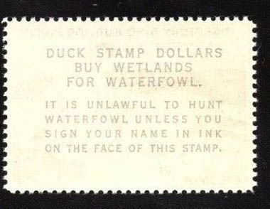 MOMEN: US STAMPS #RW31 DUCK MINT OG NH VF $100 LOT #76817-6