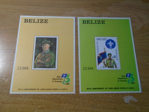 Belize  #  644-45  MNH  Scouting