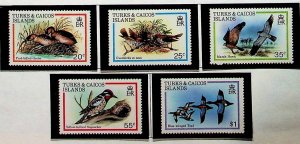 TURKS & CAICOS ISL. Sc 425-30 NH SET+S/S OF 1980 - BIRDS