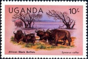 African Black Buffaloes, Uganda stamp SC#290 MNH