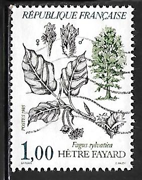 France 1984: 1f Beech Tree, used, VF
