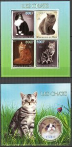 Mali 2013 Domestic Cats Sheet + S/S MNH