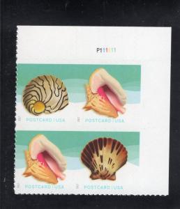 5166a Shells, MNH UR-PB/4
