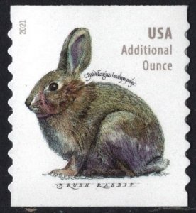 SC#5545 (Forever Additional Oz.) Brush Rabbit Coil Single (2021) SA