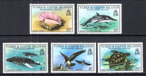Turks and Caicos 380-384 Marine Life MNH VF